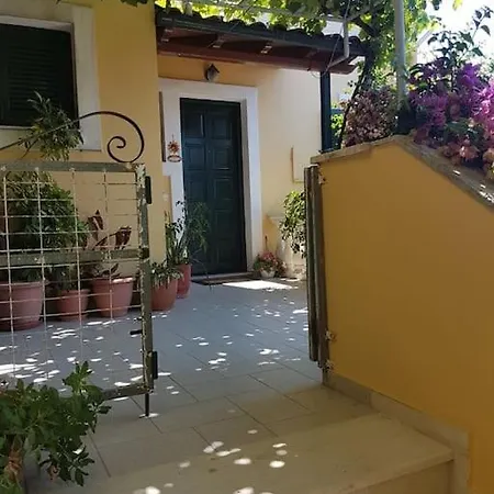 Rema شقة *